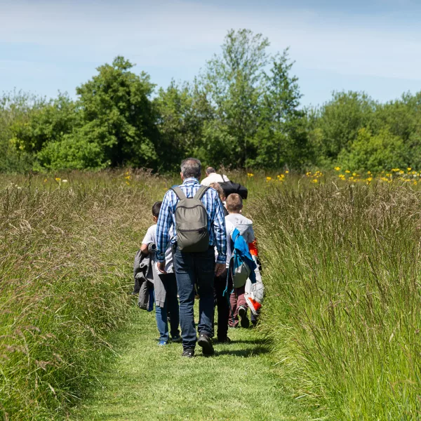 Visite guidée du marais